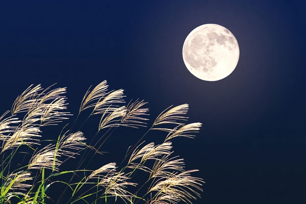 Tả một đêm trăng đẹp